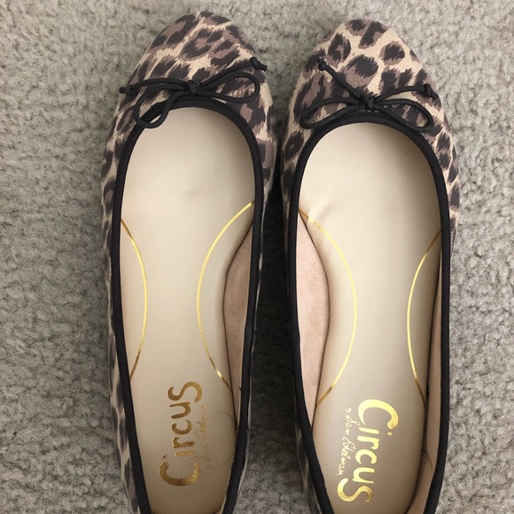 Circus by Sam Edelman Leopard Flat - Picture 2 of 3